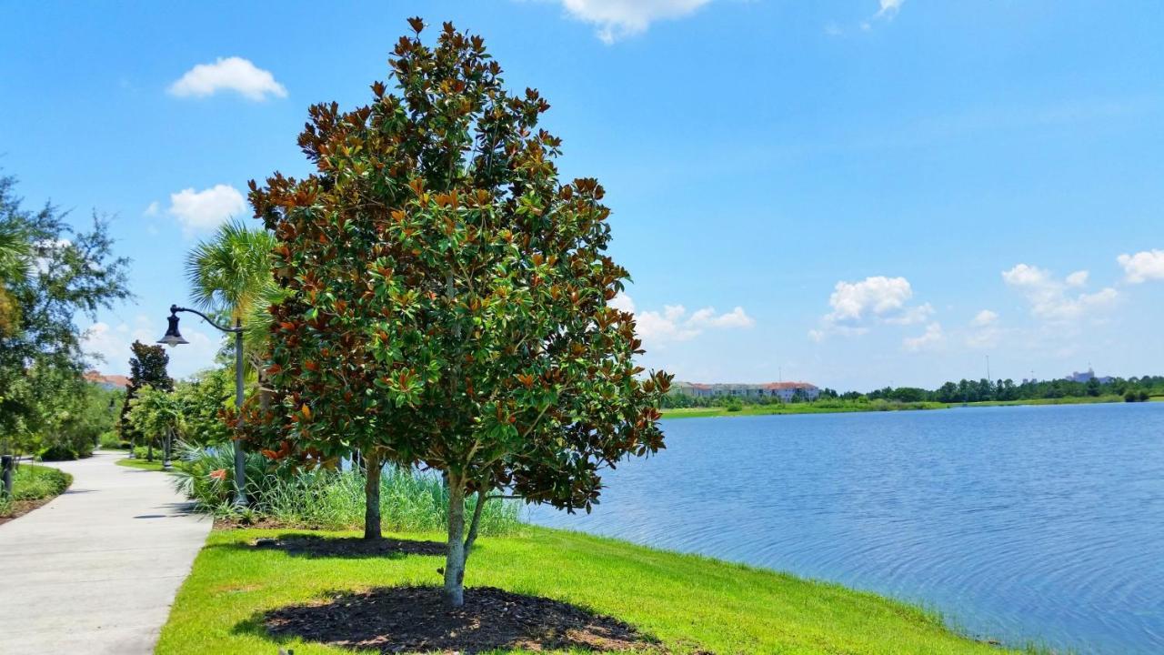 Ground-Floor Condo Next To Vista Cay Clubhouse And Pool! Орландо Екстер'єр фото